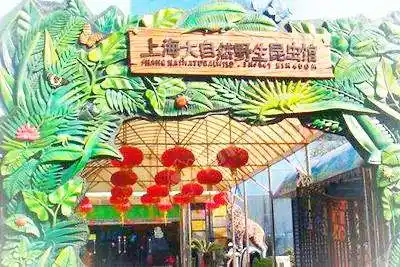 上海大自然野生昆虫馆