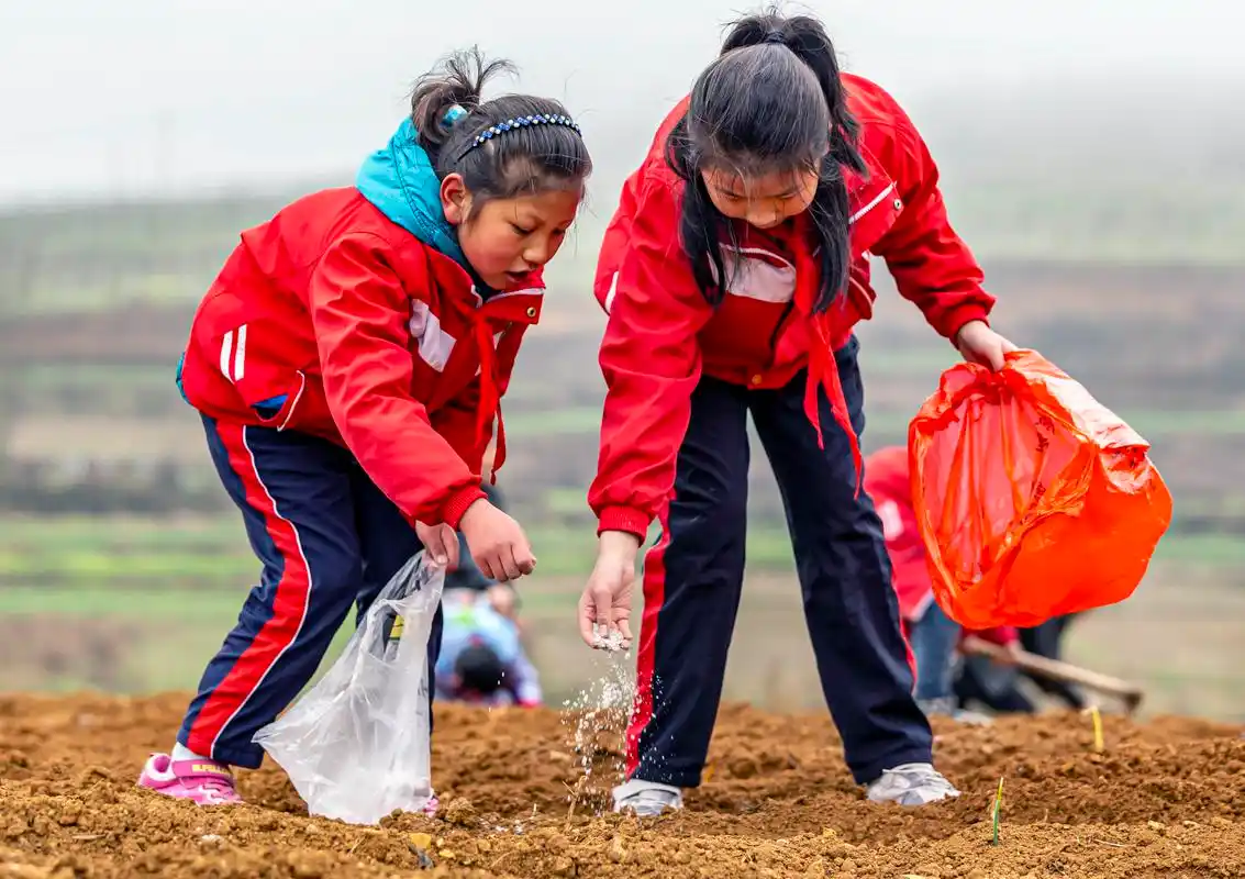 毕节:劳动教育迎开学