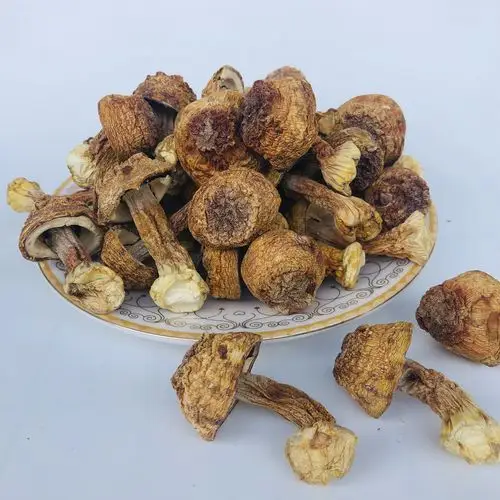 新货姬松干货松耳云南特产松茸巴西蘑菇精选姬松茸