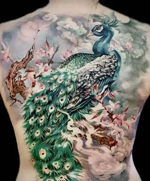 孔雀纹身图片_背部欧美写实纹身图案
