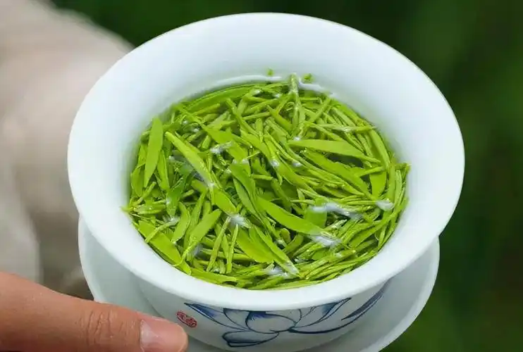 中国最好绿茶排名百度百科(什么品牌的绿茶最好)(图6)