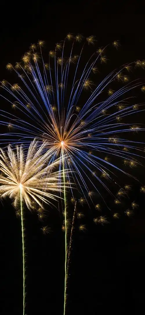 2021好看的手机壁纸精选 看看有你喜欢的吗?