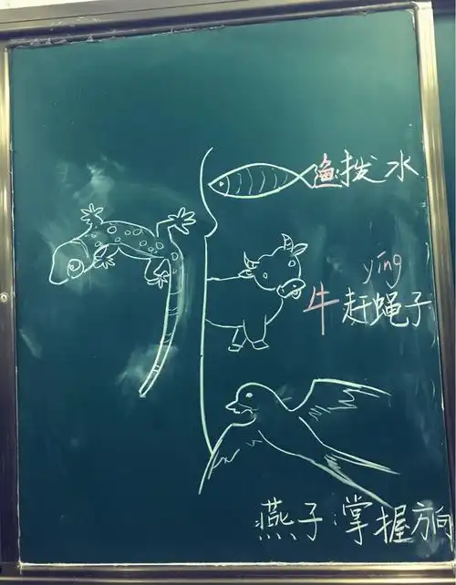 我的板书简笔画