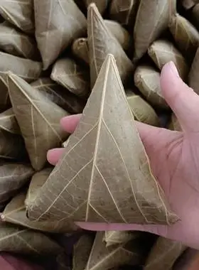 重庆苞谷粑桐子叶包谷纯手工粑粑