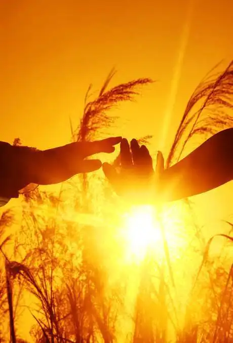 温暖入心的早安句子,阳光明媚,越看越爱!