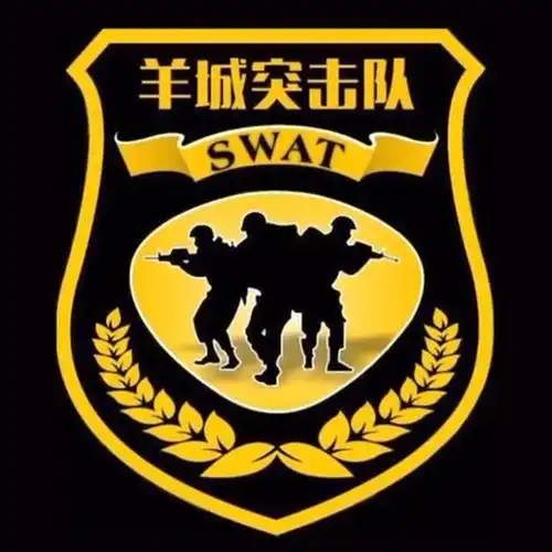 帅全国公安特警标志臂章图集