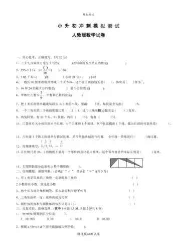 人教版小升初数学考试试题附答案