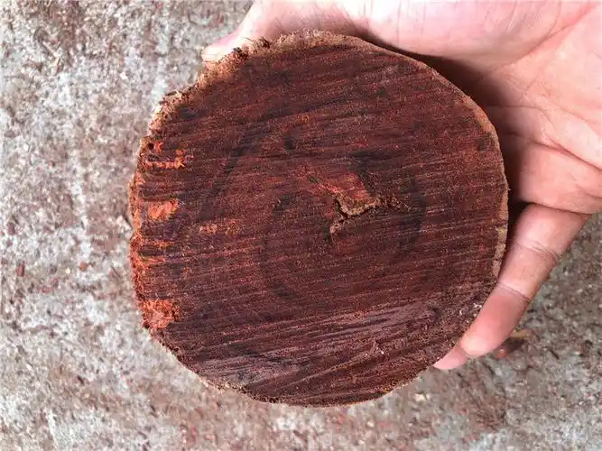 非洲赞比亚小叶紫檀血檀金星原木料佛珠料笔筒弹原木段