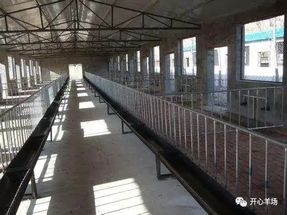 100只养羊棚设计图?羊舍怎么搭建?