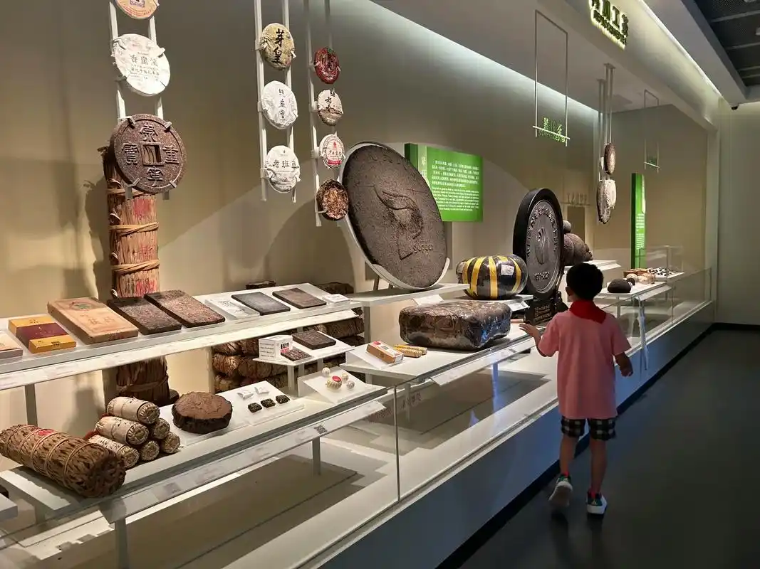 走遍杭州的博物馆- 008中国茶叶博物馆.#中国茶叶博物馆  - 抖音