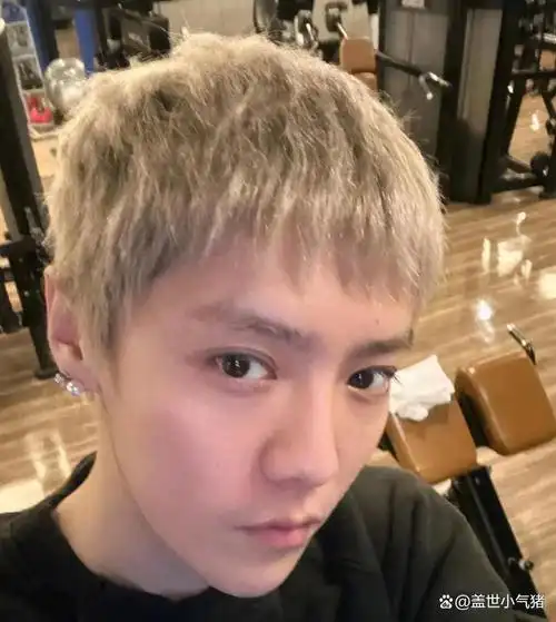 鹿晗闷声干大事处女作空降惊喜粉丝震惊之余幸福爆棚