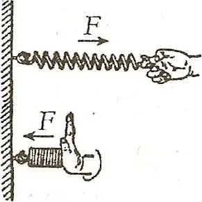 3,对弹簧中的弹力要有一个清醒的认识弹簧或弹性绳,由于会发生形变