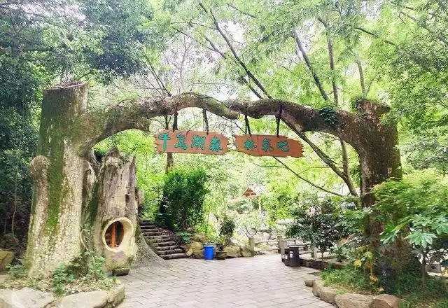 千岛湖森林氧吧旅游景点攻略图