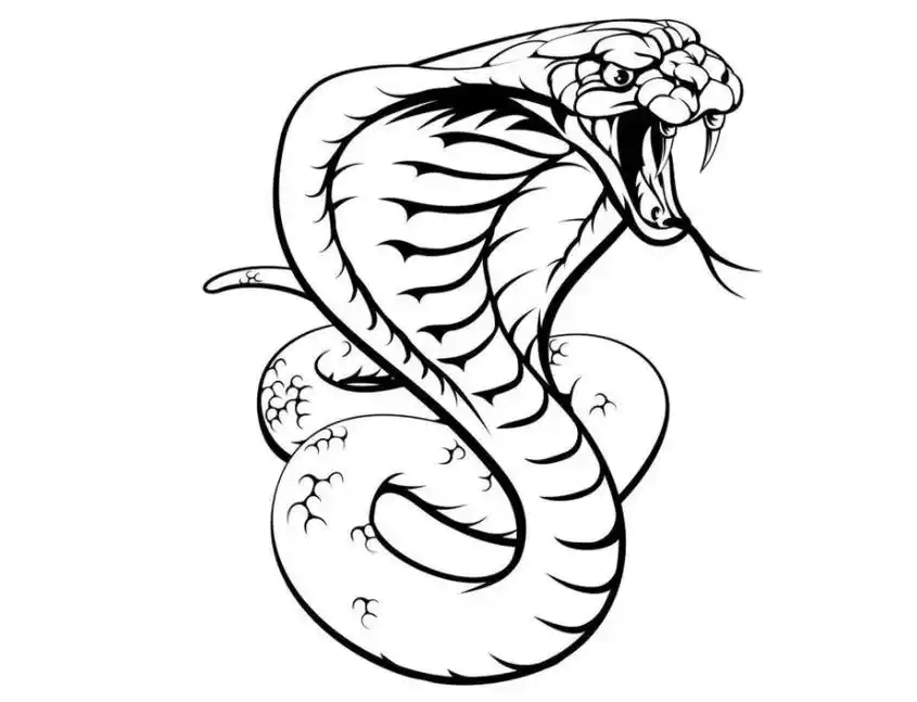 夜间上厕所,卫生间惊现眼镜王蛇,它毒性多强,见蛇不打三分罪?