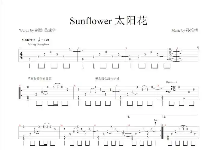 sunflower 太阳花吉他谱_孙培博_c调指弹吉他谱 - 吉他世界