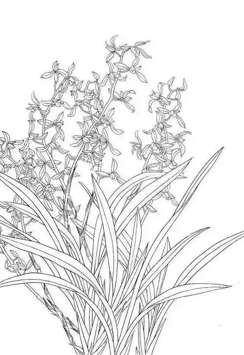 3800幅古代绘画图库,27g历代经典书法套装,工笔画白描