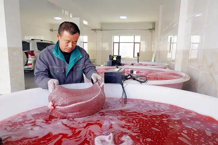 盛昌种子开始水稻浸种