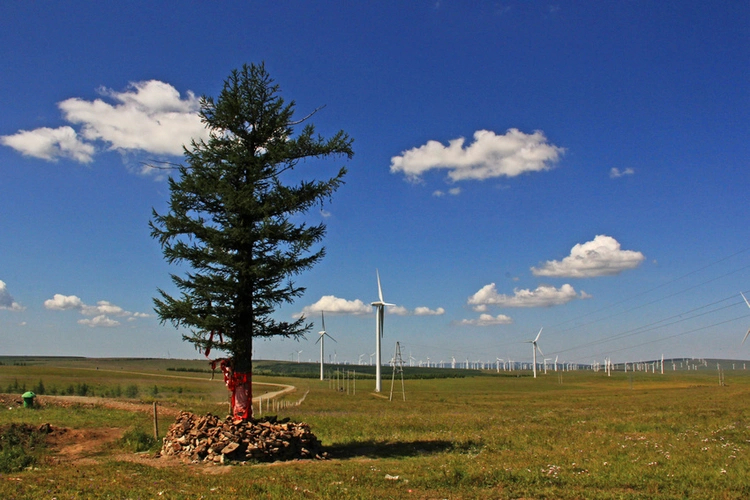 我院学生积极参加塞罕坝打卡活动