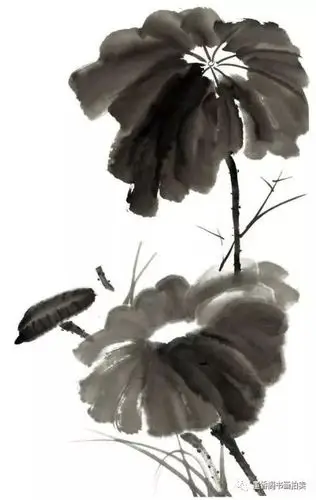 国画技法各种形态荷叶的画法