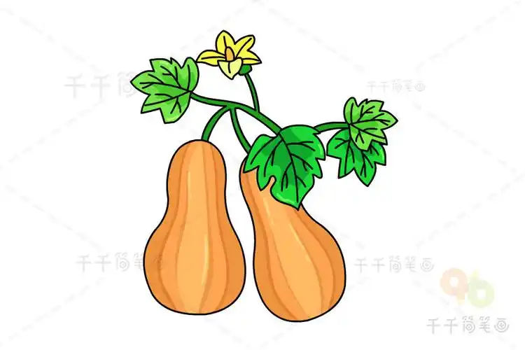 倭瓜简笔画画法_农作物简笔画