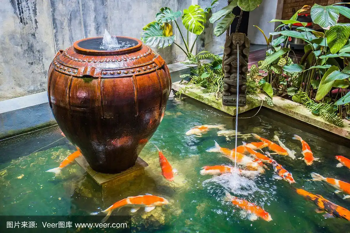 室内鱼池