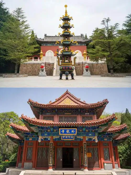 龙口旅行##我的旅行生活##山海仙境 追梦龙口