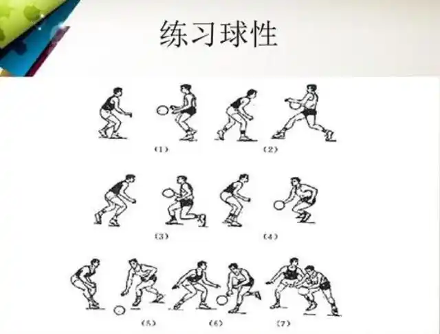 哪里有打篮球教学