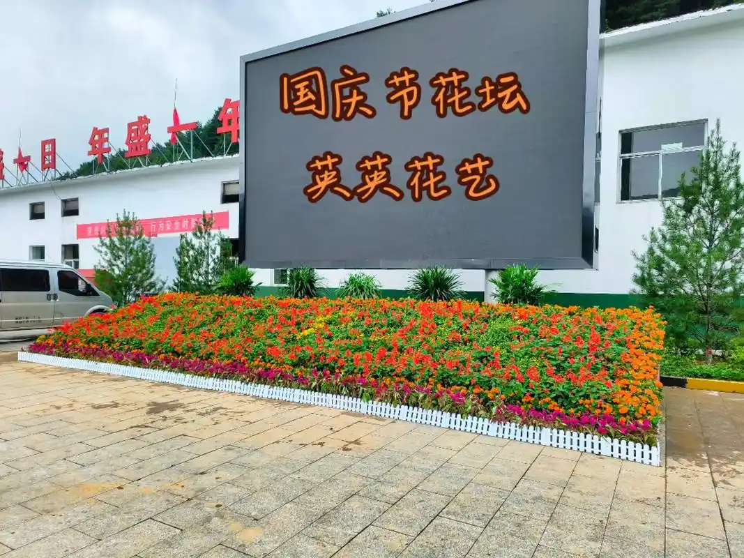 国庆节花坛#花境设计 #美丽乡村 #花海遇见你 - 抖音