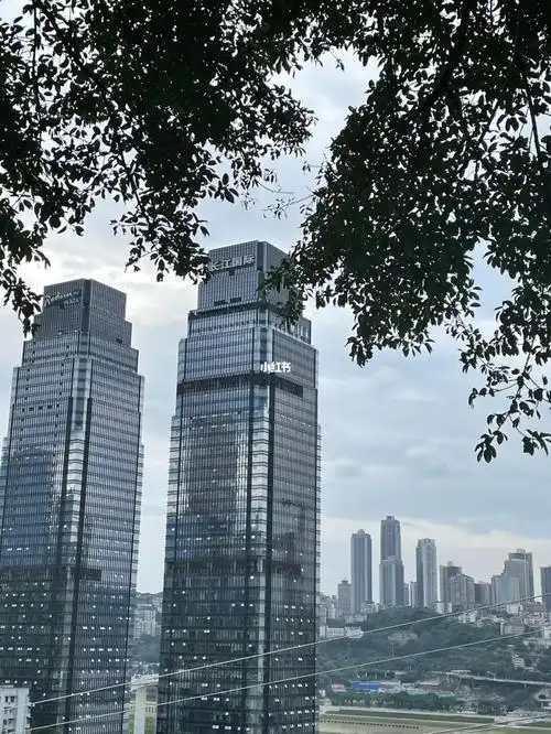 寒假见啦#重庆  #tnt时代少年团  #长江国际18楼