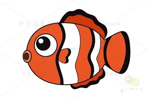 动物简笔画 小丑鱼简笔画教程小丑鱼因为脸上都有一条或两条白色条纹