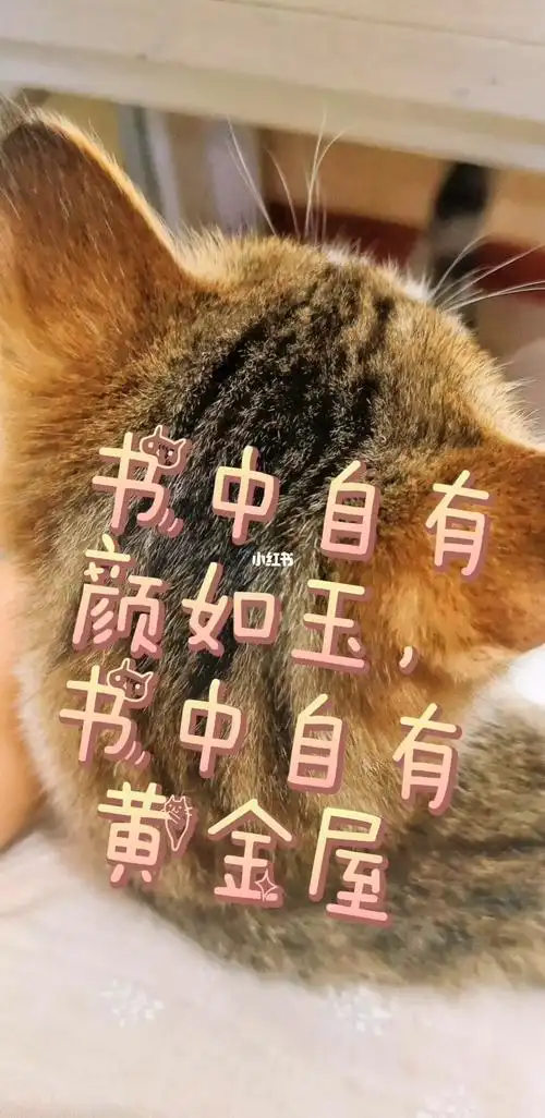 书中自有颜如玉书中自有黄金屋