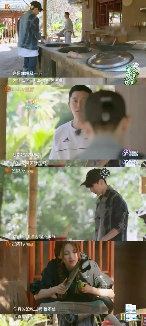王源杨超越莴笋之争,你站谁?
