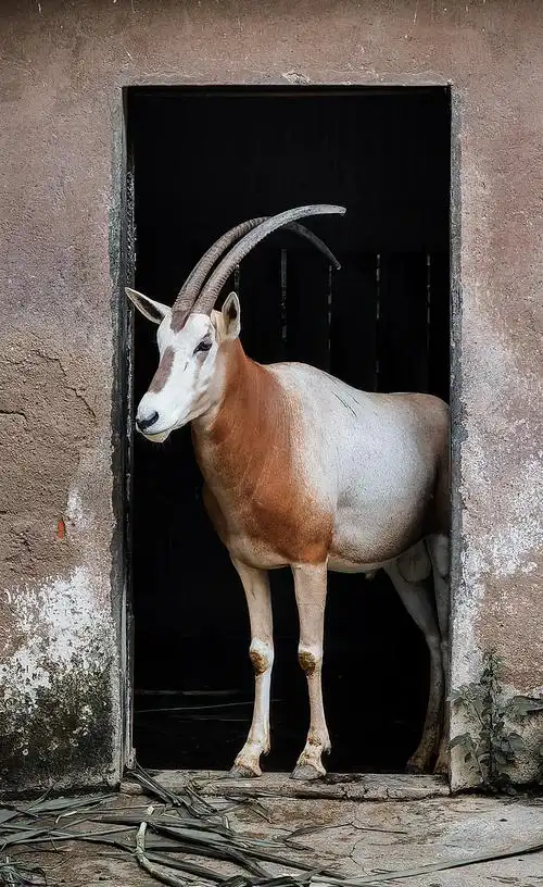 快帮我拍张写真