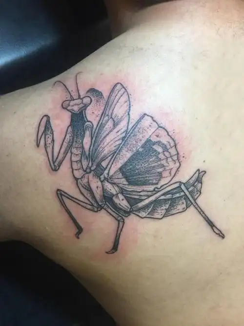 男生后肩上黑色点刺简单线条小动物螳螂纹身图案