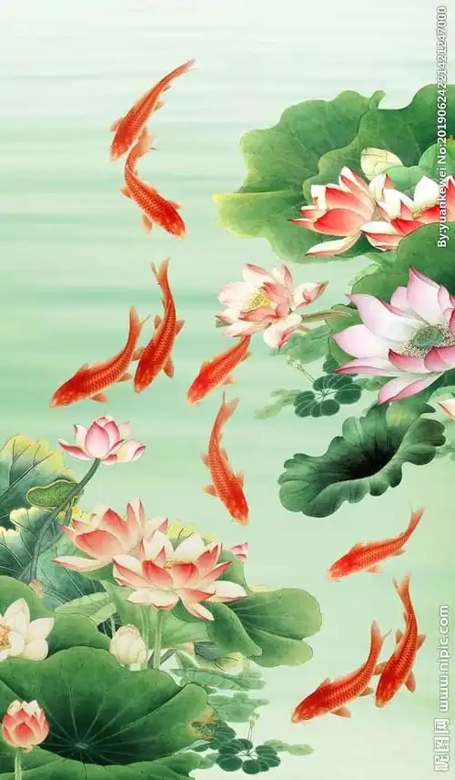 荷花九鱼图图片