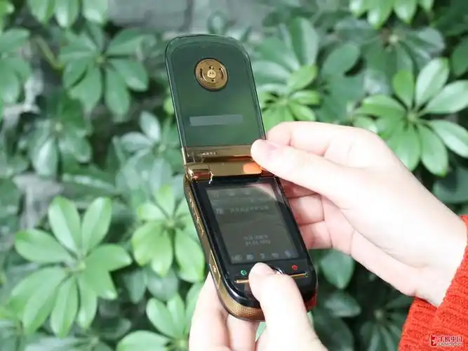 p>摩托罗拉a1600采用了"明"系经典的半透明翻盖式设计,机身尺寸为98.