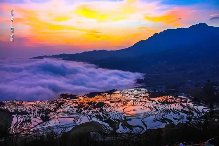 元阳梯田之二多依树梯田日出 .
