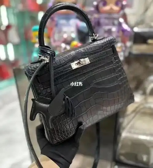 hermes爱马仕  #爱马仕购买攻略  #爱马仕kelly25  #kelly25黑银鳄鱼