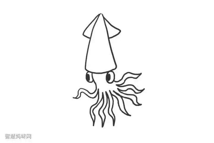 海洋生物乌贼简笔画怎么画