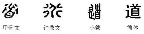 汉字是道德文化的记录道国学道德经典导读