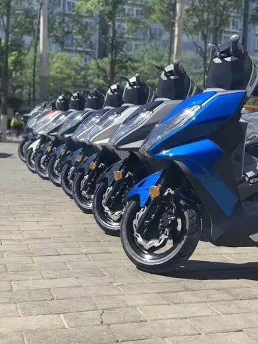 北京风速三阳凤凰fnx150