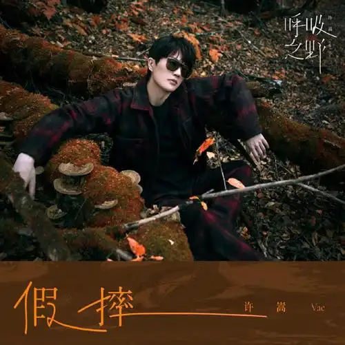 2021许嵩第8张全创作专辑《呼吸之野》 曲目《假摔》5月10日正式发行