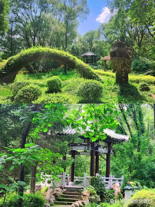 99地址:沈阳市浑南区双园路 301 号   95开放时间:09:00-17:00