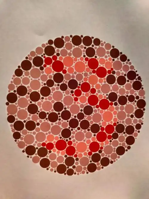 2020年最近驾考体检专用色盲检测图