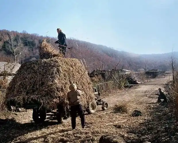 【阅读悦读|摄影 】关秀峰《东北农村黑土地 农家院 热炕头》