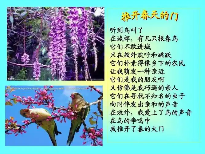 推开春天的门ppt