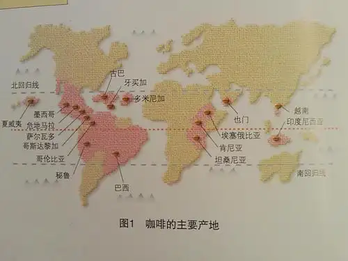 咖啡的主要产地