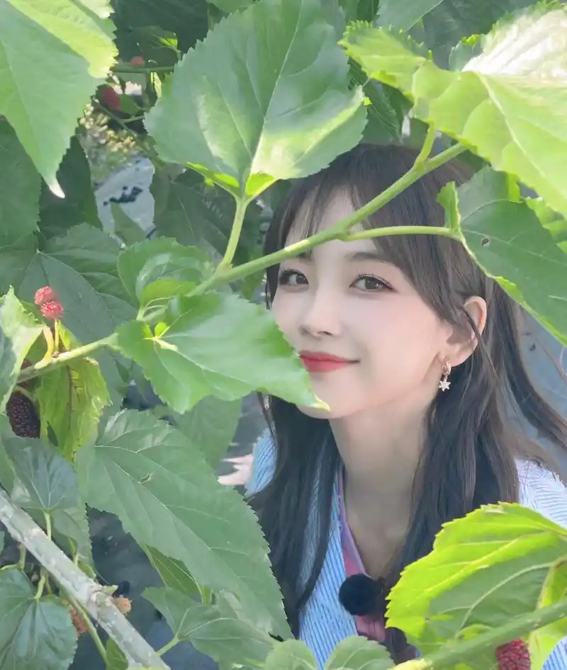 央视记者王冰冰的五月照片合集,可爱又灵动,五月的心是冰冰的!