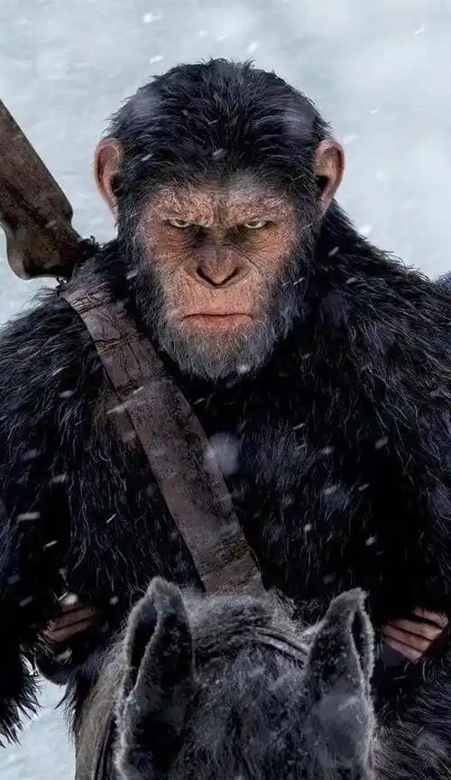 原创猩球崛起3凯撒为族人寻找到新栖息地自己却牺牲了