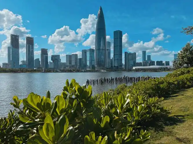 深圳后海61人才公园